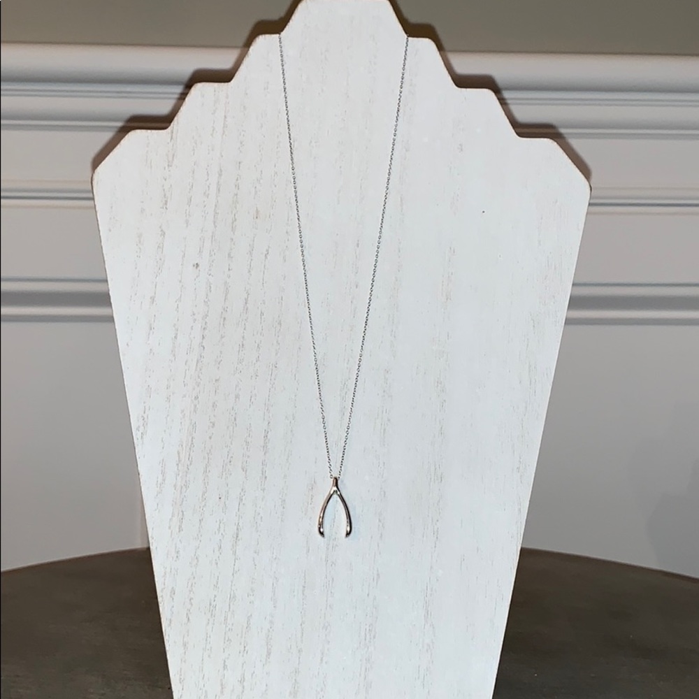 Silver Wish Bone Necklace